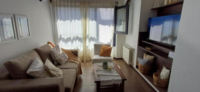 Cálido departamento en San Martín de los Andes